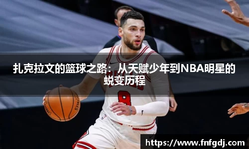 JN体育