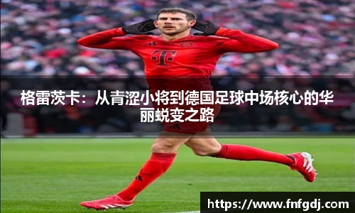 jn江南