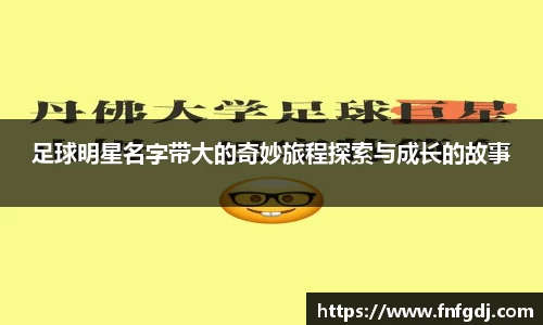 jn江南
