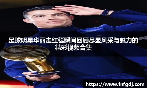 JN体育