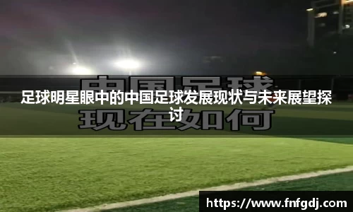 足球明星眼中的中国足球发展现状与未来展望探讨
